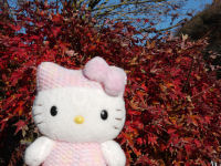 ♪キティちゃんDiary(2013年)